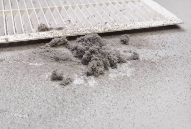 Best Affordable HVAC Duct Cleaning  in Eleele, HI