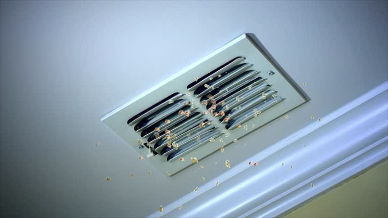 Best Air Duct Cleaning Near Me  in Eleele, HI