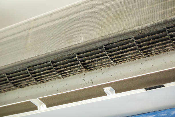 Best Best Air Duct Cleaning Company  in Eleele, HI